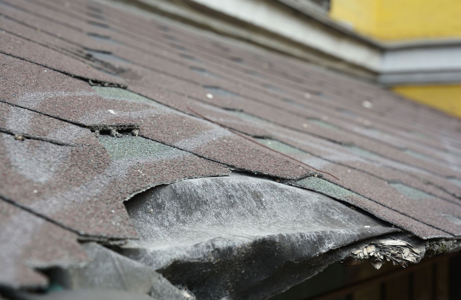 BT2K Roofing & Contracting Images