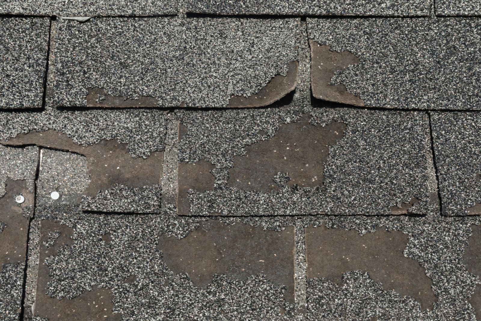 BT2K Roofing & Contracting Images